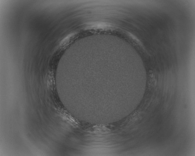 X0000081350918200701111451