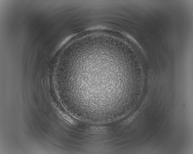 X0000081350921200701111451