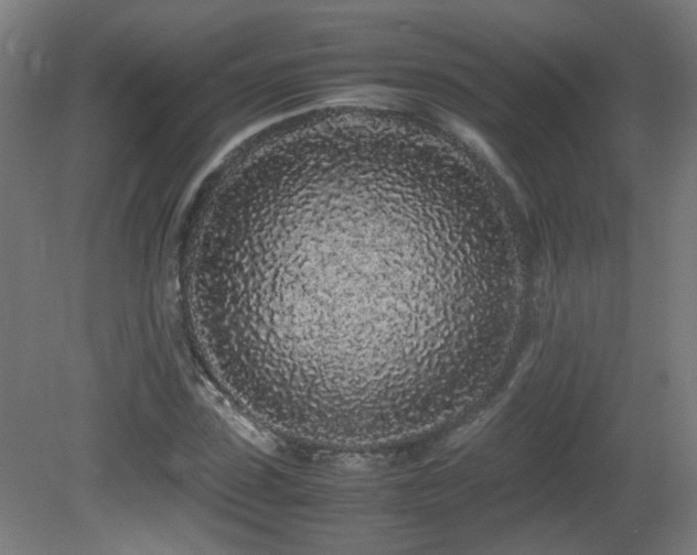X0000081350923200701111451