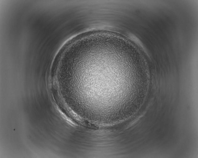 X0000081350924200701111451
