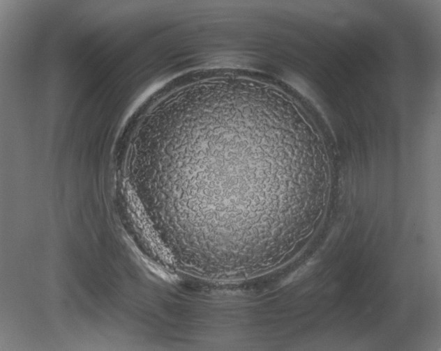 X0000081350925200701111451