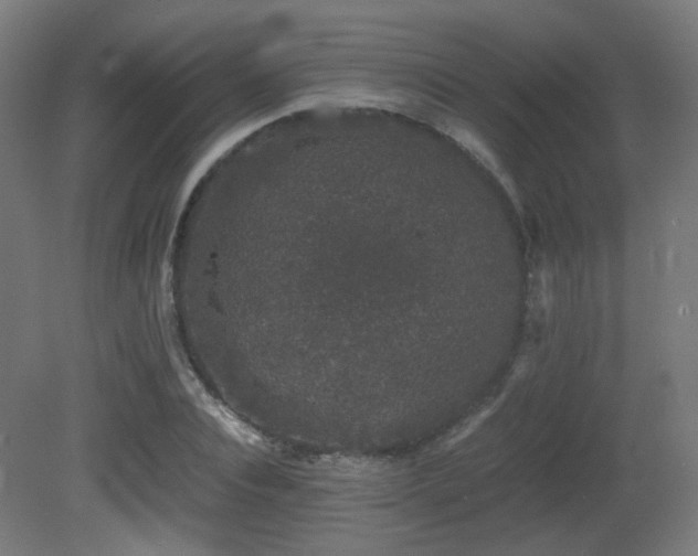 X0000081350928200701111451