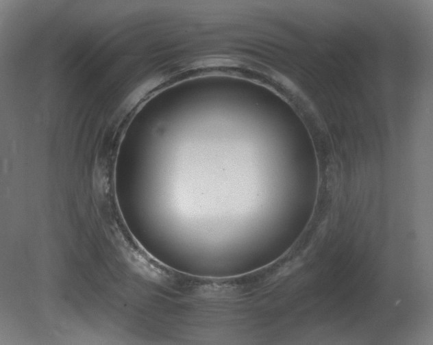 X0000081350929200701111451