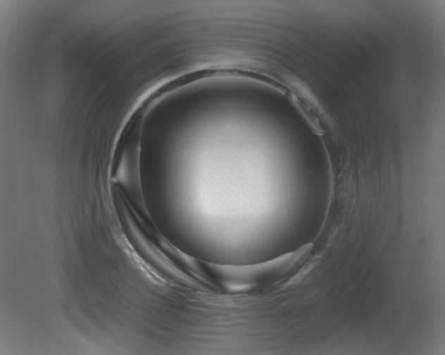 X0000081350932200701111451