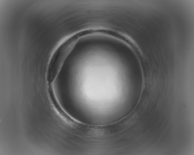 X0000081350935200701111451
