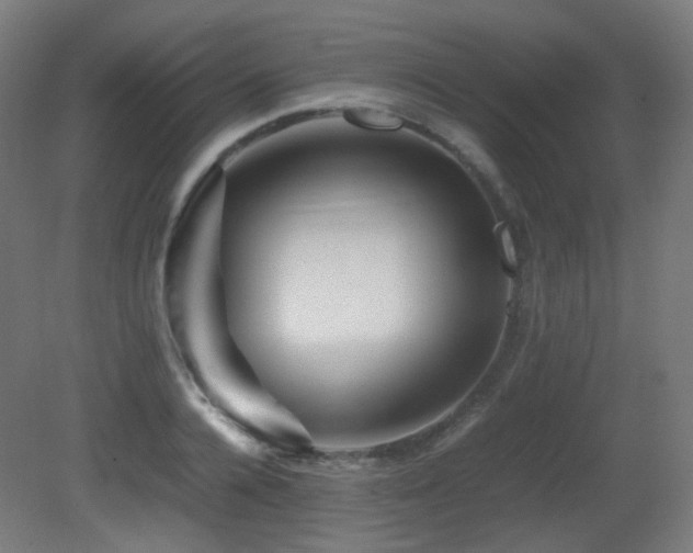 X0000081350936200701111451