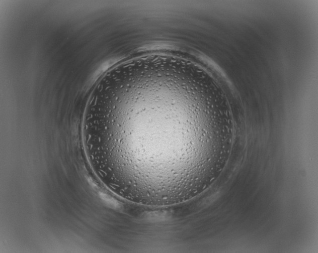 X0000081350937200701111451