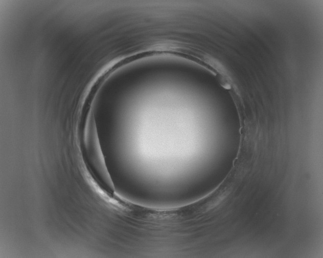 X0000081350939200701111451
