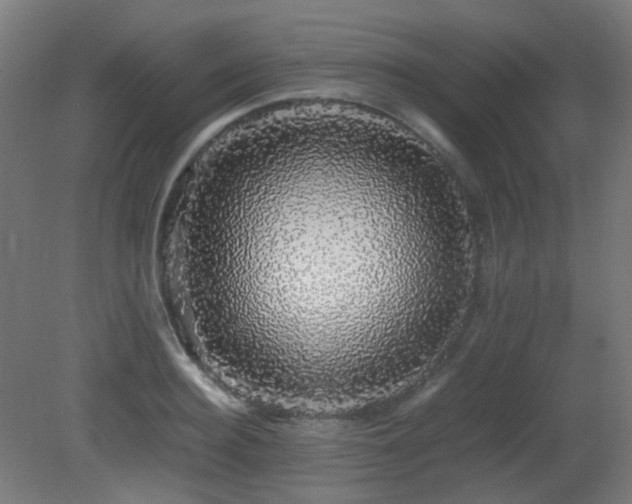 X0000081350940200701111451