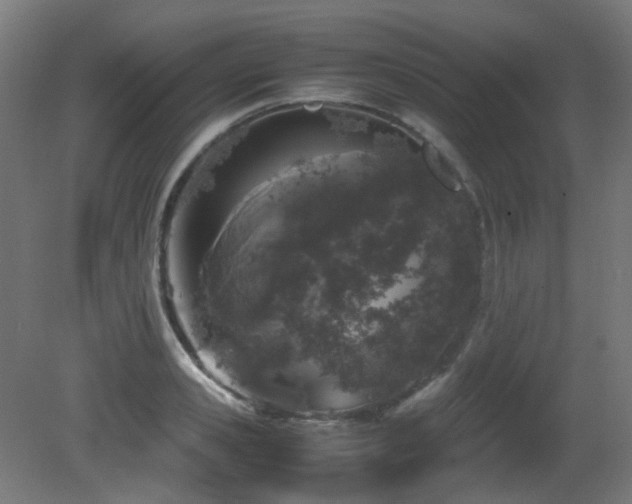 X0000081350941200701111451