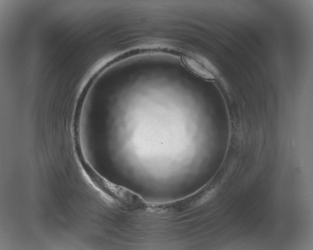 X0000081350943200701111451