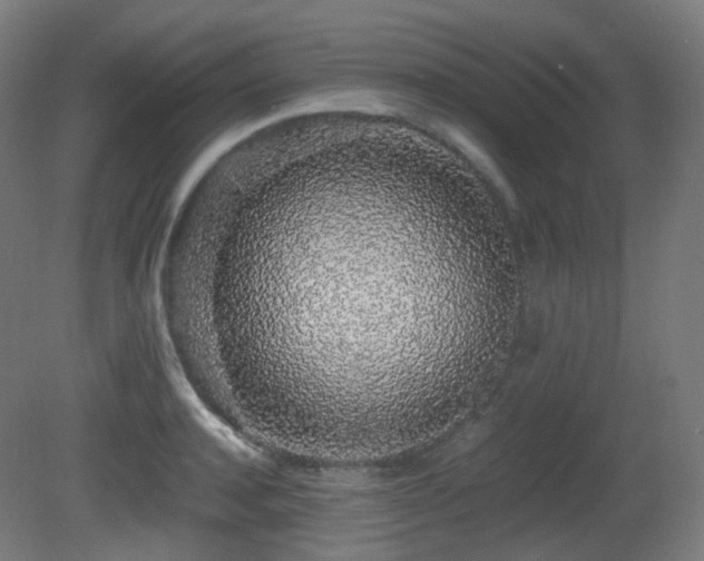 X0000081350944200701111451