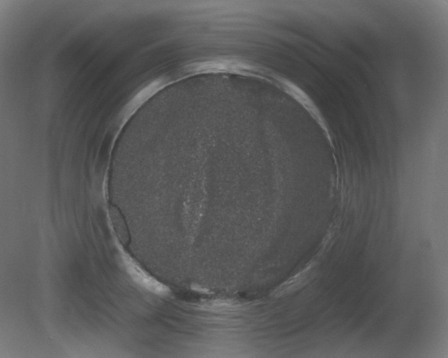 X0000081350946200701111451
