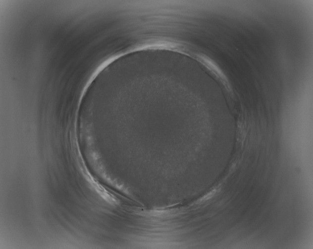 X0000081350948200701111451