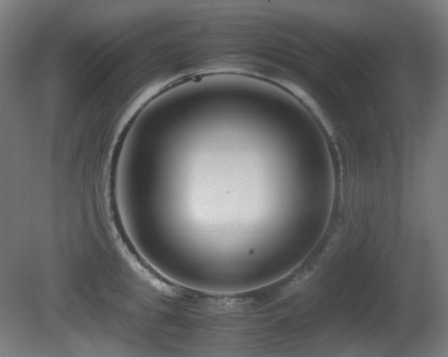 X0000081350949200701111451