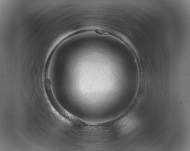 X0000081350951200701111451