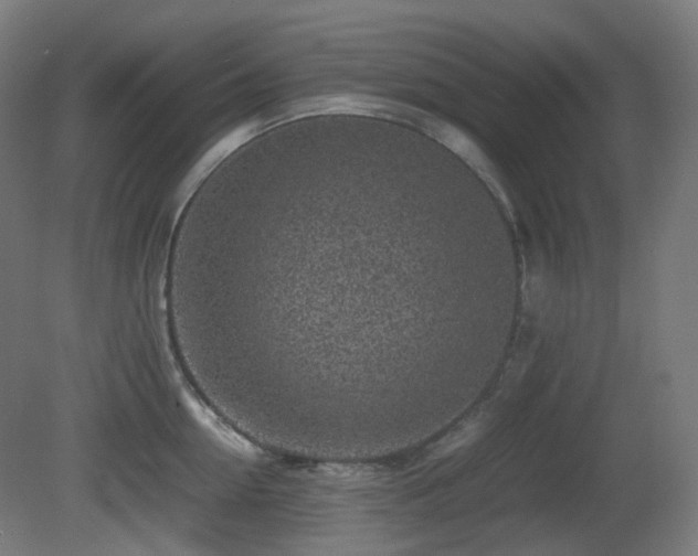 X0000081350954200701111451