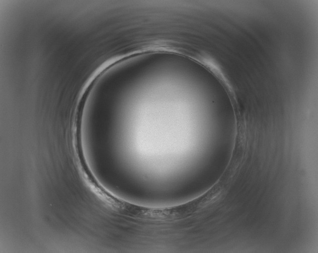 X0000081350955200701111451