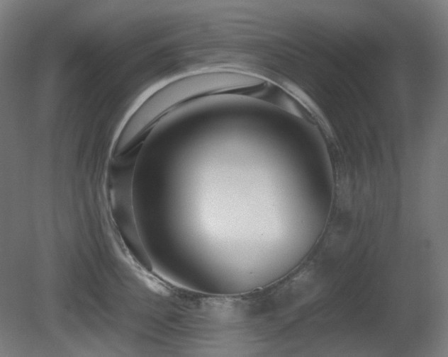 X0000081350956200701111452
