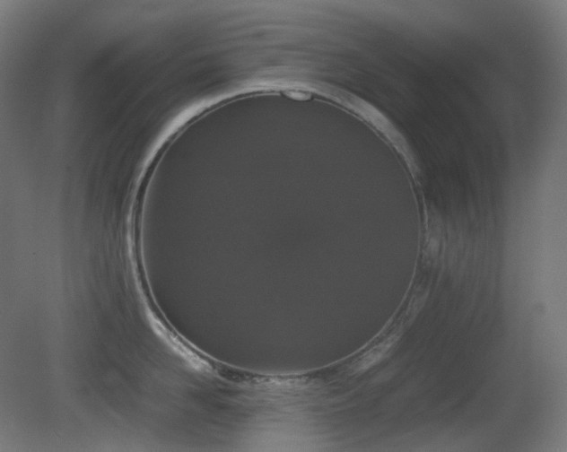 X0000081350958200701111452