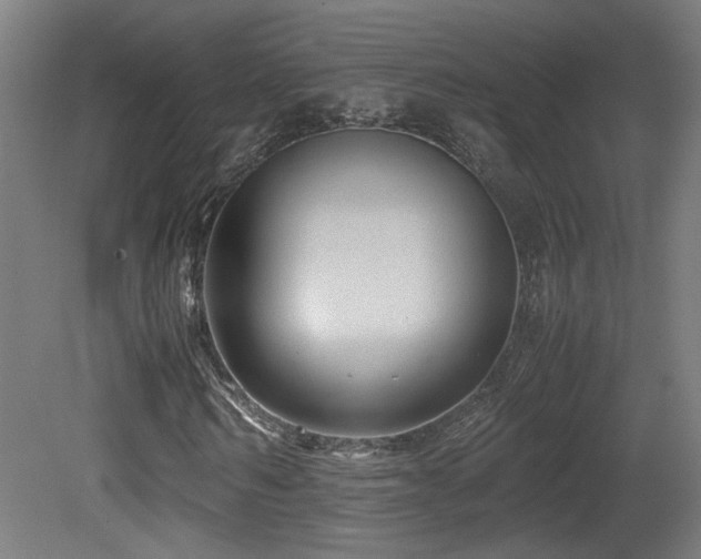 X0000081350962200701111451