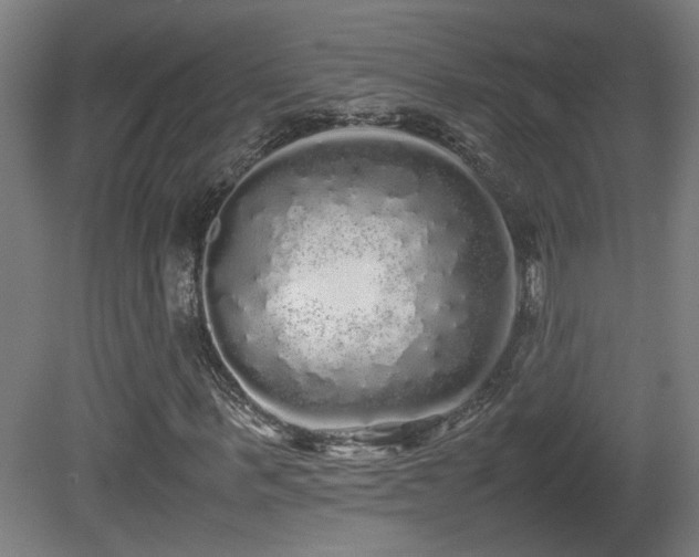 X0000081350963200701111451