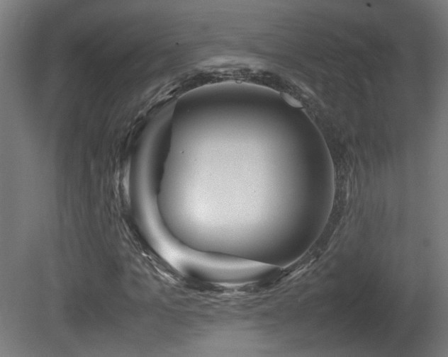 X0000081350965200701111451
