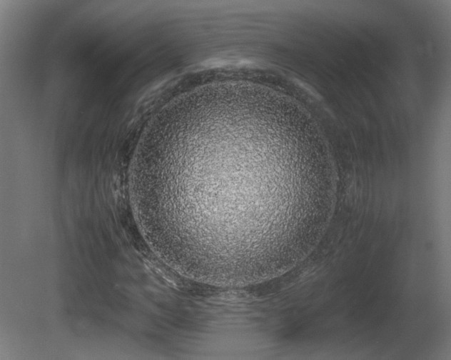 X0000081350966200701111451