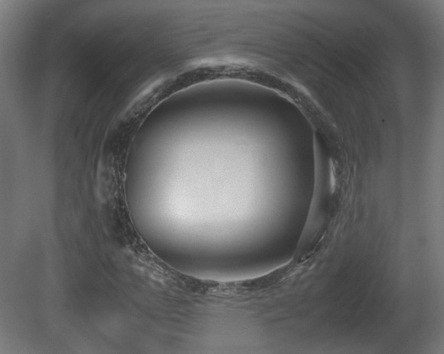 X0000081350967200701111451