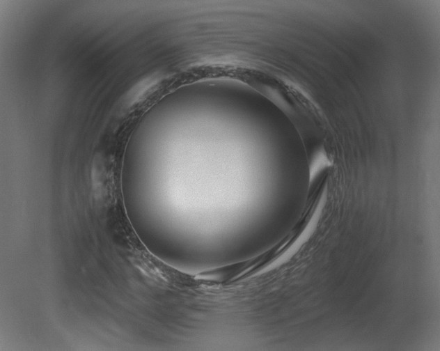 X0000081350968200701111451