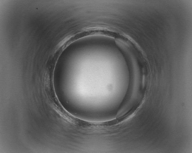 X0000081350969200701111451