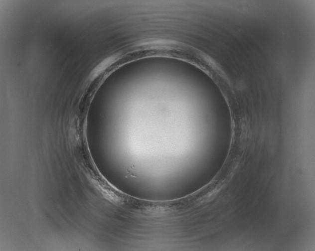 X0000081350970200701111451