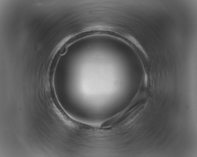 X0000081350972200701111451