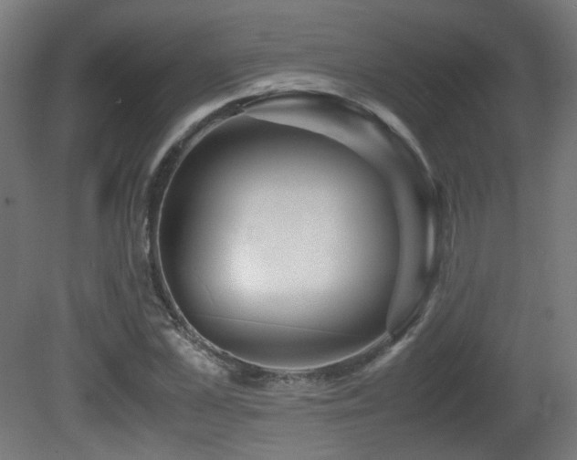 X0000081350973200701111451