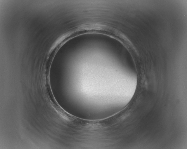 X0000081350978200701111450