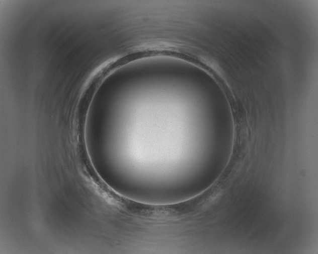 X0000081350979200701111450