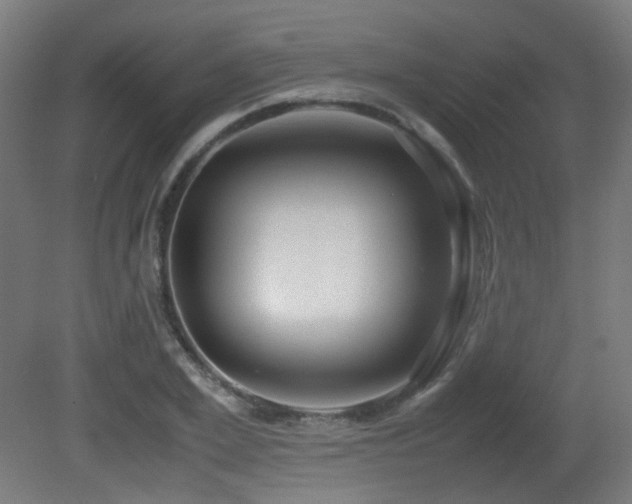 X0000081350981200701111450