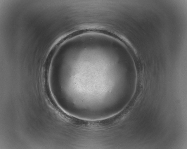 X0000081350983200701111450