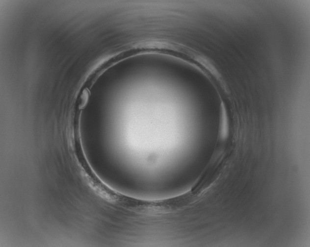 X0000081350984200701111450