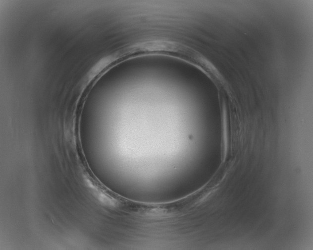 X0000081350986200701111450
