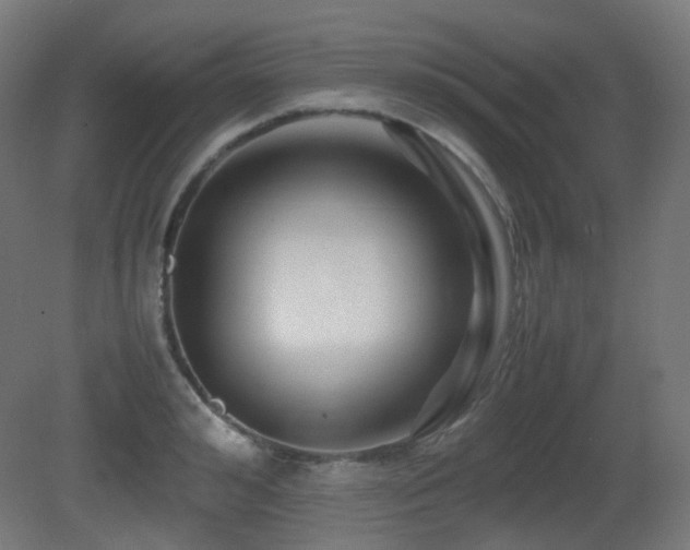 X0000081350992200701111450