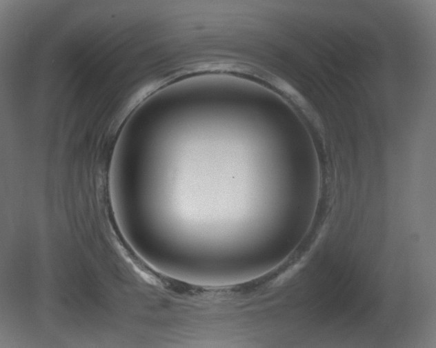 X0000081350993200701111450
