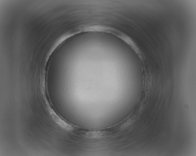 X0000081351000200701111450