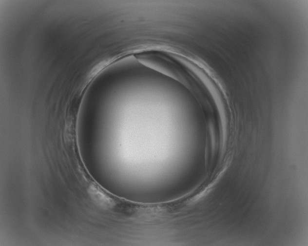 X0000081351001200701111450