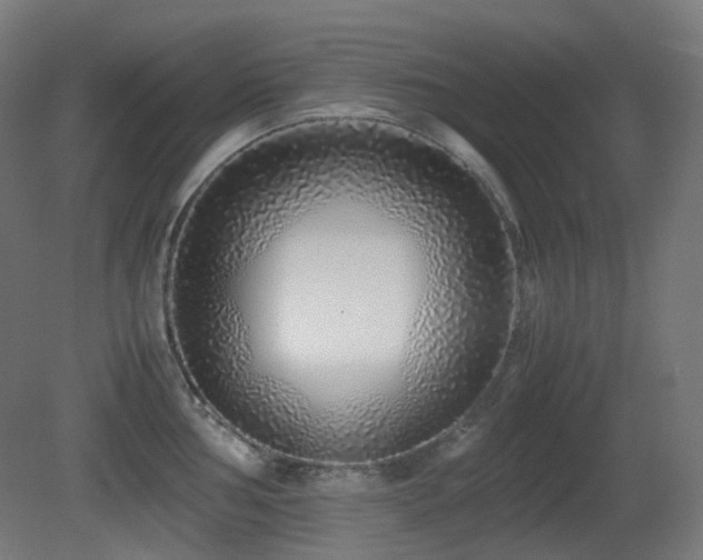 X0000081351002200701111450