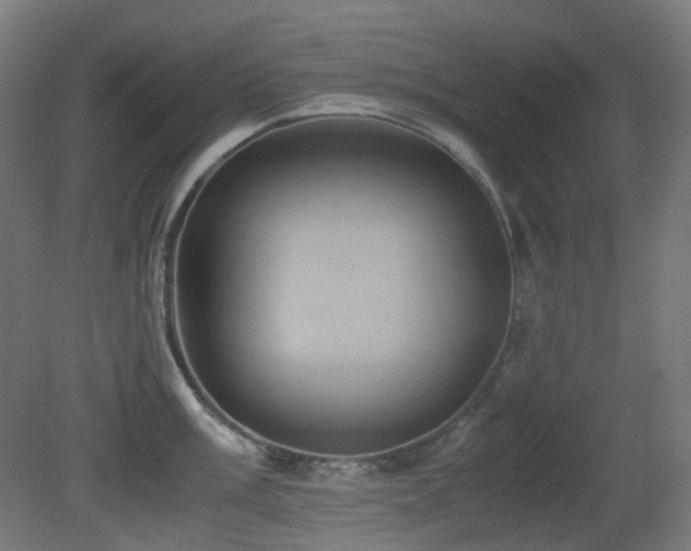 X0000081351003200701111450