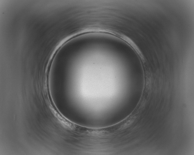 X0000081351004200701111450