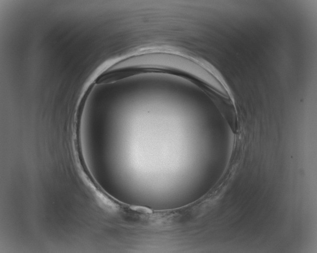 X0000081351005200701111450