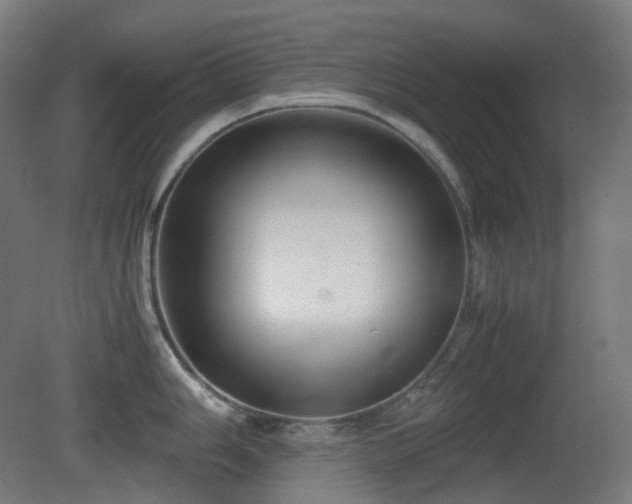 X0000081351006200701111450