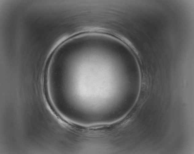X0000081351007200701111450